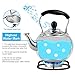 Stove Top Whistling Tea Kettle 2.5 Quart Classic teapot appearance Culinary Grade Stainless Steel Teapot Composite process bottom