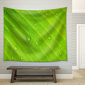 Closeup Drops of Water Under Banana Leaf Texture - Fabric Wall Tapestry Home Decor - 51x60 inches