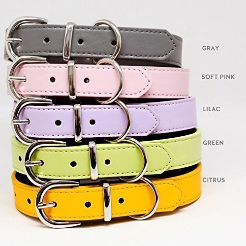 lilac leather dog collar