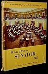 What does a Senator do?