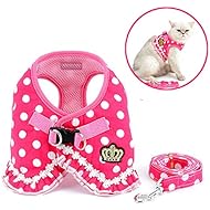 Zunea Polka Dots Cat Harness and Leash Set Girl Kitten Crown Escape Proof No Pull Choke Vest Clothes for Walking, Step in Soft Mesh Padded Puppy Harness for Small Dog Pink S