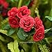 YILIYAJIA 3PCS Artificial Rose Garlands Silk Fake Rose Flowers Green Leaves Vine for Home Hotel Office Wedding Party Garden Craft Art Decor (red)