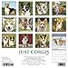 Just Corgis 2020 Wall Calendar (Dog Breed Calendar)