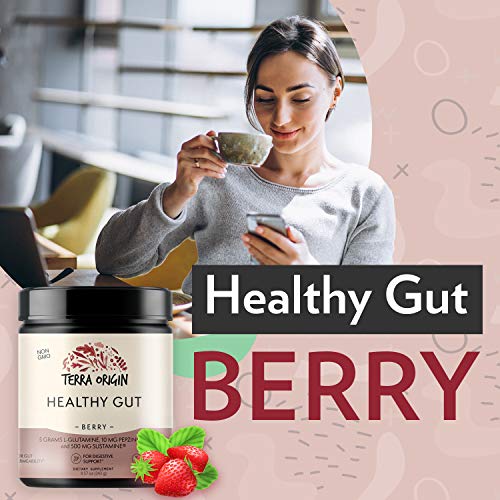 Terra Origin Healthy Gut Berry with LGlutamine, Zinc, Glucosamine