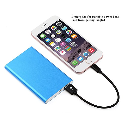 dethinton Short Charging Cables Ultra Slim Connector 5Pack 10inch Nylon