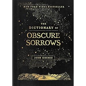 The Dictionary of Obscure Sorrows