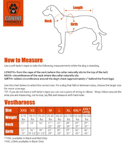 canine friendly harness