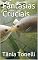 Livro Fantasias Cruciais