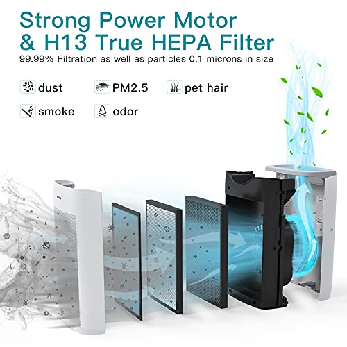 AIRTOK Air Purifier for Home Large Room Office up to 1100ft² H13 True HEPA Air Filter Cleaner for Smoke, Dust, Odors, Pet Dander 25dB Quiet (Available for California)