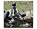 Eberlestock Pack-Mountable Shooting Rest