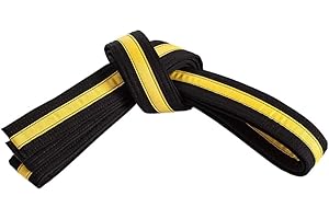 MASTERY MARTIAL ARTS Mastery Apprentice