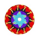 The Beast Flying Disc