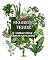Livro SEGREDO VERDE : Guia prático com dicas essenciais para o bem-estar de suas plantas