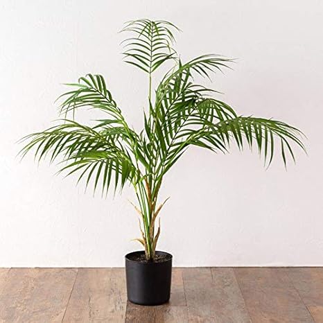 Amazon パームツリー アレカヤシ フェイクグリーン 高さ75cm 造花 観葉植物 フェイク アーティフィシャルプランツ グリーン ボタニカル インテリア パーム ヤシ 人工観葉植物 オンライン通販