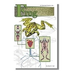 Anatomy Lab Frog Dissection Kit with Scalpel
