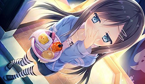 Amazon お家に帰るまでがましまろです Pcソフト ソフトウェア