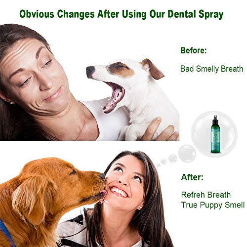 Fancymay Premium Pet Dental Spray (Large - 8Oz) for Dogs and Cats, Eliminate Bad Dog Breath and Bad Cat Breath, Fights Pet Tartar Build Up, Dog Dental Care To Refresh Breath