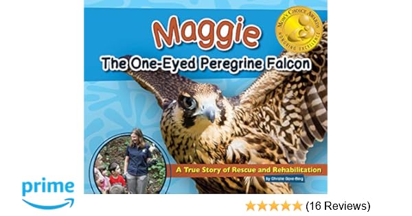 Amazoncom Maggie The One Eyed Peregrine Falcon A True
