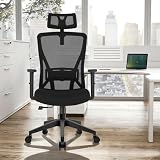 Durrafy Ergonomic Office Chair High-Back Mesh with Adjustable Armrests & Lumbar view 2