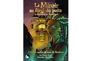 Le miroir au fond du puits (French Edition)
