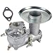 Hipa 392587 Carburetor + Gasket for Briggs & Stratton 391065 391074 391992 394745 Engine