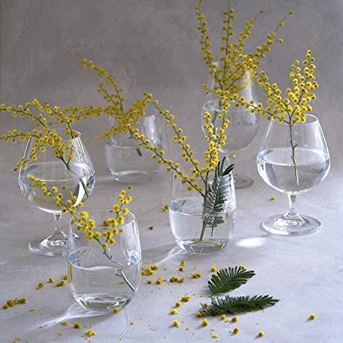 LAV Special Series Crystal Cognac/Brandy Glasses, Set of 6, 13.5 oz