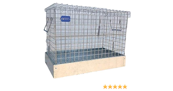 rabbit carrier amazon