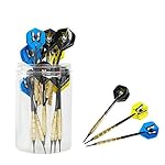 Agirlgle 12 Pack soft Tip Darts Set 17 Grams in a Jar with Nonslip Iron Barrel, a pack of extra tip and 4 Style Flights Beautiful Butterfly and Skull Perfect for All Levels