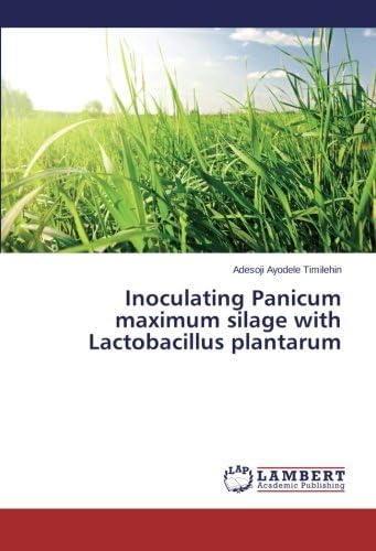 Inoculating Panicum maximum silage with Lactobacillus plantarum