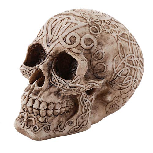 Photo 1 of Pacific Giftware Celtic Owl Knotwork Human Skull Statue Gothic Pagan