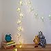 20 Cactus Battery Operated Indoor LED Party String Lights