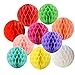 10pcs 8inch Honeycomb Paper Pom Poms Decorative Tissue Flower Balls DIY Paper Handmade Craft for Wedding, Baby Shower, Birthday, Party, Home Decor (8inch-Colorful)
