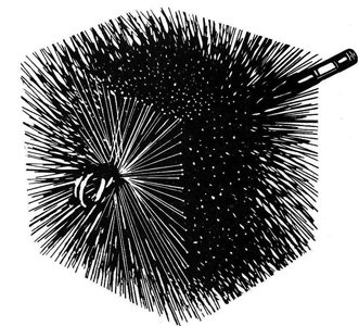 AW Perkins 12" x 12" Square Standard Threaded Brush