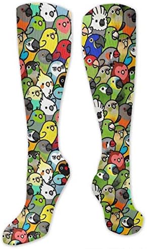 jiilwkie Bird Everybirdy Pattern Compression Sock Women & Men - Best Running, Athletic Sports, Flight Travel 19.68"