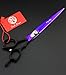 Purple Dragon 8.0 inch Professional Pet/Dog Grooming Hair Cutting Scissor/Shear with Bag- 440C Stainless Steel - Perfect for Pet Groomer or Home DIY Use