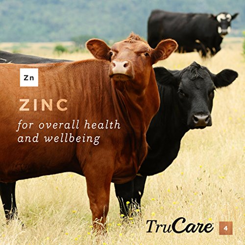 TruCare 4 TopDress Trace Mineral Blend for Livestock Beef Cattle