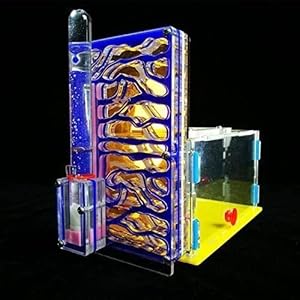 8bayfa Ant Farm Toy Formicaio R1 con Alimentazione Area Ant Farm Acrilico Insetti Gabbie Villa Pet Mania for Casa…