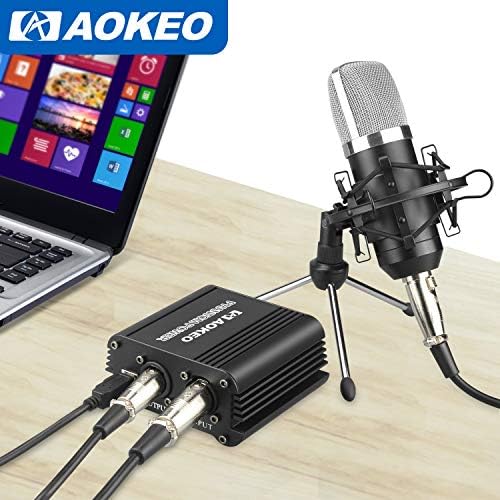 Compact USB phantom power supply for microphone.