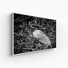 Canvas Wall Art for Living Room, Bedroom Black and White Article Framed Canvas Prints for Home Decoration Ready to Hang - 16x24 inches