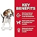 Hill's Science Diet Puppy, Puppy Premium Nutrition, Dry Dog Food, Chicken & Brown Rice, 4.5 lb Bag