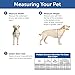 PetSafe Extreme Weather Pet Door - Insulated Weather-Resistant Dog & Cat Door with Durable Plastic Frame - Maximum Energy-Saving Efficiency - Small - for Dogs & Cats up to 15 lbs