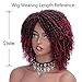 AISI QUEENS Short Dreadlock Curly Wigs for Black Women Braided Wigs African American Wig Heat Resistant Synthetic Twist Wig
