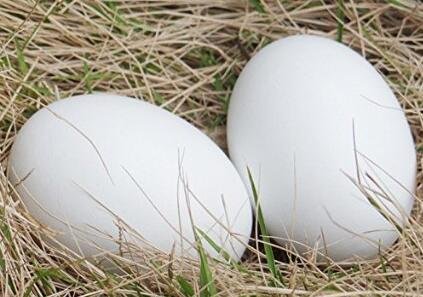 Easter Eggs Wooden Fake Eggs 9 Pieces 2 Colors