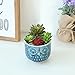 MyGift 5 Inch Whimsical Ceramic Succulent Cactus Herb Planter Pot with Textured Owl Face Design and Blue Glossy Finish
