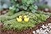 20pcs Miniature Dollhouse Bonsai Fairy Garden Landscape Duck Decor