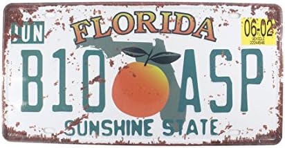 6x12 Inches Vintage Feel Rustic Home,bathroom and Bar Wall Decor Car Vehicle License Plate Souvenir Metal Tin Sign Plaque (FLORIDA B10 ASP)