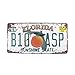 6x12 Inches Vintage Feel Rustic Home,Bathroom and Bar Wall Decor Car Vehicle License Plate Souvenir Metal Tin Sign Plaque (Florida B10 ASP)
