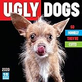 Ugly Dogs: So Homely They're Cute 2020 Wall Calendar: by Sellers Publishing by 
