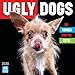 Ugly Dogs: So Homely They're Cute 2020 Wall Calendar: by Sellers Publishing by 