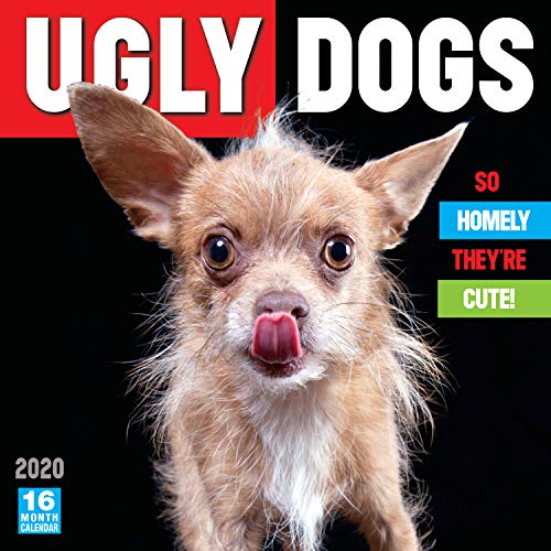 Ugly Dogs: So Homely They're Cute 2020 Wall Calendar: by Sellers Publishing by Sellers Publishing Inc.